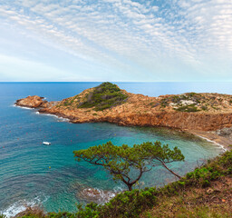 Canvas Print - Sea bay summer view with small wild beach and conifer trees in front. Costa Brava, Catalonia, Spain.