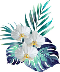 Wall Mural - Tropical pattern. Hibiscus, plumeria, orchid, monstera, paradise flower, palm leaf.
