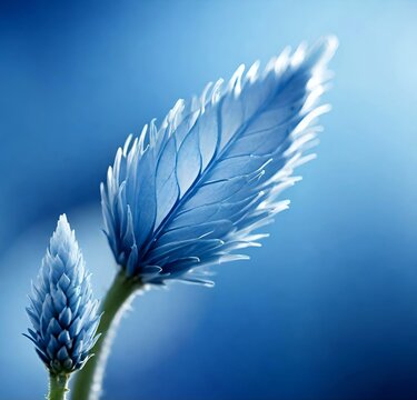 white flower on blue background, vector, illustration, pen, art, pattern, wing, light, design, nature, decoration, blue, soft, symbol, fluffy