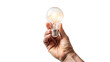 © Uncle-Ice - A hand holding a light bulb symbolizes a bright idea or creative solution