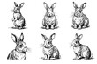 © dasha122007 - Set of sketches of black and white rabbits from different angles.