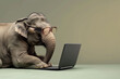 © AI_images - An elephant sitting in front of a laptop, donning glasses, with a plain olive green background. The elephant's calm and focused demeanor adds a touch of majesty and intelligence, making the scene both