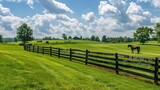 A horses is grazing in a lush green field background