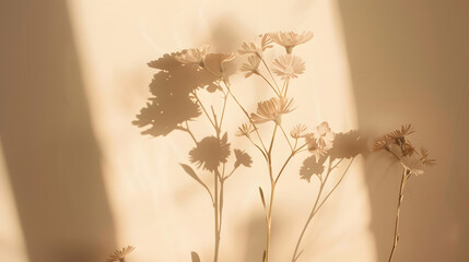 Aufkleber - Natural flower shadows are blurred on light brown and cream color wall at home at sunrise : Generative AI