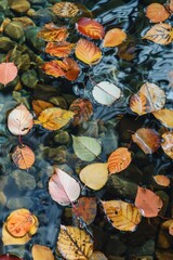 Wall Mural - A clear stream with colorful autumn leaves floating on its surface, representing the natural progression and flow of ideas. 