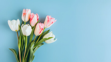 Wall Mural - Mothers Day concept Top view photo of bouquet of white and pink tulips on isolated pastel blue background with copyspace : Generative AI