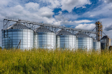 Wall Mural - silos on agro-industrial complex with seed cleaning and drying line for grain storage. Granary elevator