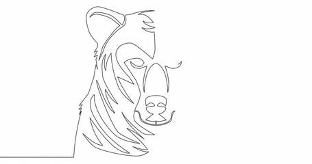 Wall Mural - Self drawing line animation bear wild animal continuous one single line drawn concept video