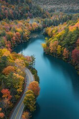 Poster - Autumnal Forest Road and Winding River