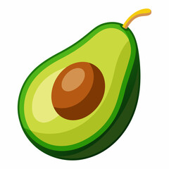 vector illustration of avocado