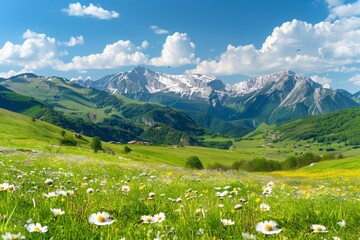 Wall Mural - Tranquil mountain landscape with lush meadows and wildflowers in rural nature panorama