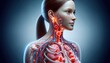 © Muhammad - Close-up of Caucasian woman's lymphatic system with vessels and nodes in neck and shoulders anatomical medical study