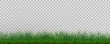 © Александр Боярин - Grass border, vector illustration. Vector grass, lawn. Grass png, lawn png. Green grass with sun glare.