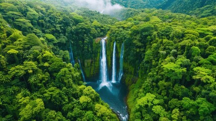 Wall Mural - Aerial view of a waterfall surrounded by forest, Landscape, Serene and breathtaking wilderness 