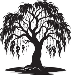 Willow tree silhouette black and white illustration