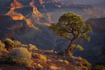 Wall Mural - Lone Tree on the Edge of the Grand Canyon