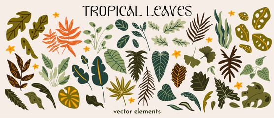 Wall Mural - cartoon tropical plants vector illustration set for design. different types of exotic leaves funky g