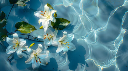 Canvas Print - White lily flowers in blue transparent water Beautiful summer floral composition with sun and shadows Nature concept Top view Selective focus : Generative AI