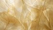 © Generative AI - Nature abstract of flower petals beige transparent leaves with natural texture as natural background wide banner Macro texture neutral color aesthetic photo with veins of leaf botanica : Generative AI