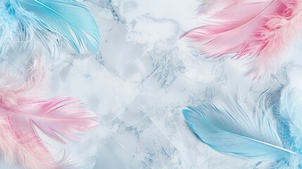 Wall Mural - White marble background with feathers pink and blue. Gentle, airy abstract design