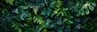 © Anat art - A vibrant and dense tropical rainforest background with various lush green leaves, perfect for promoting eco-tours and nature reserves. Generative AI