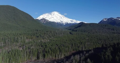 Wall Mural - Breathtaking View of Mount Rainier Amidst Vast Evergreen Forest