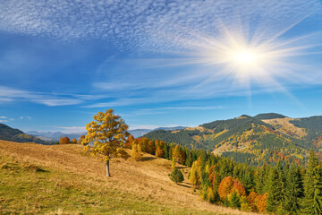 Wall Mural - the mountain autumn landscape