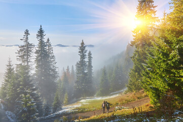 Wall Mural - Colorful autumn morning in the Carpathian mountains. Ukraine.