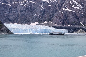 Canvas Print - Glacier Bay, Alaska