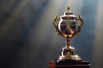 a prestigious award trophy is prominently displayed, radiating achievement and excellence