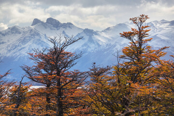 Poster - Autumn in mountains