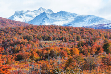 Canvas Print - Autumn in mountains