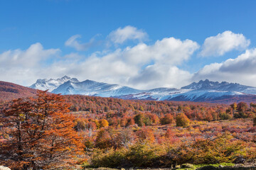 Canvas Print - Autumn in mountains