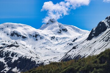 Wall Mural - Glacier Bay, Alaska