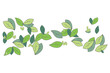 A group of different green leaves falling in vector