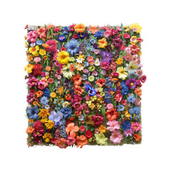 Wall Mural - innovative colorful flower meadow