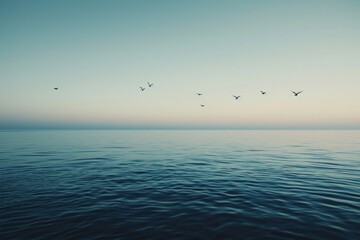 Wall Mural - Birds flying over the water sea outdoors horizon.