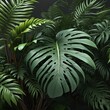 © 석태 김 - Lush green tropical plants bush (monstera, palm, rubber plant, pine and fern), cut out