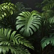 © 석태 김 - Lush green tropical plants bush (monstera, palm, rubber plant, pine and fern), cut out