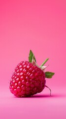 Wall Mural - Raspberry , award winning photography, commercial ads photo, advertising, studio, stunning