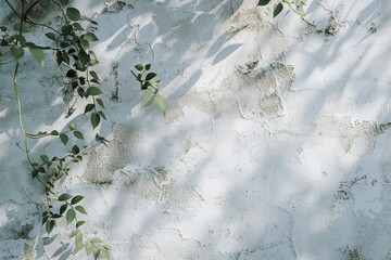 Canvas Print - Sunlight casts shadows of vine leaves on a textured wall, providing a natural and serene wallpaper or background