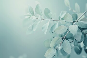 Wall Mural - A serene wallpaper with a focus on soft blue leaves and branches, creating a calming and subtle background