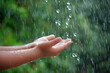 © chawalit - Two children's hands catching the falling rainwater. Raindrops fall on your hand. Wet from the rain, soaked under the shade of a tree.