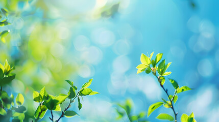 Poster - Beautiful blurred background image of spring nature with surrounded by trees against a blue sky with clouds on a bright sunny day : Generative AI