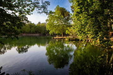 View of the Anna lagoon. A truly paradise place. Valencia, Spain.