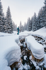 Wall Mural - Mountaineer backcountry ski walking ski alpinist in the mountains. Ski touring in alpine landscape with snowy trees. Adventure winter sport. Low Tatras, slovakia