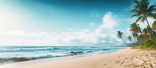 Wall Mural - An aerial view of a sandy beach with palm trees and the ocean in the background, with ample copy space in the image.