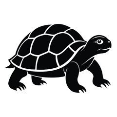 tortoise silhouettes and icons. black flat color simple elegant aldabra giant tortoise animal vector