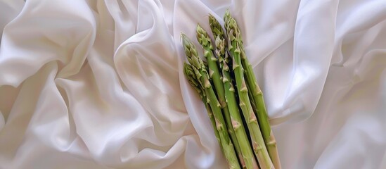 Aufkleber - Horizontal close up shot of a bundle of asparagus over a white fabric pastel background. with copy space image. Place for adding text or design