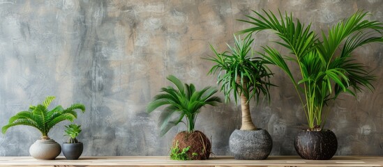 Wall Mural - Green coconut bonsai in fresh organic plastic pots. with copy space image. Place for adding text or design